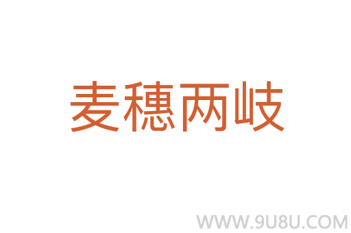 麥穗兩岐
