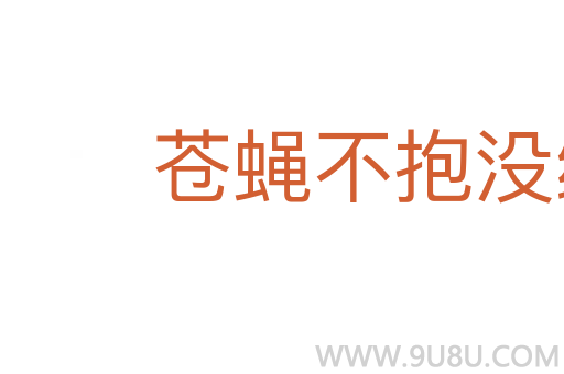 蒼蠅不抱沒縫的蛋