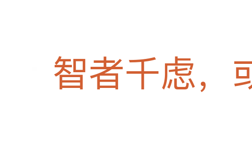 智者千慮，或有一失