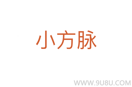 小方脈