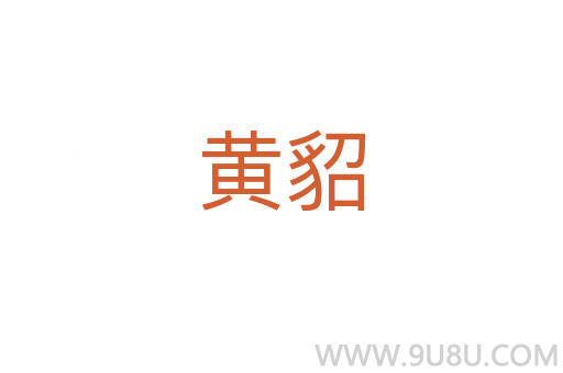 黃貂