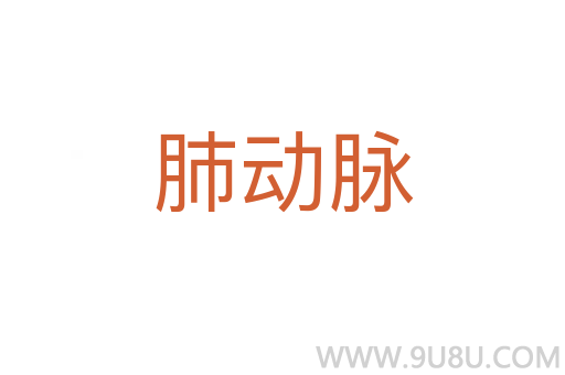 肺動(dòng)脈
