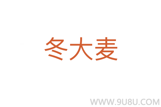 冬大麥