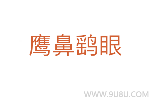 鷹鼻鷂眼