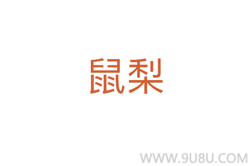 鼠梨