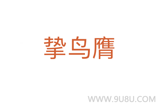 摯鳥膺