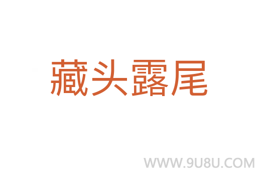 藏頭露尾