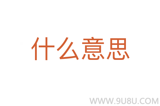 什么意思
