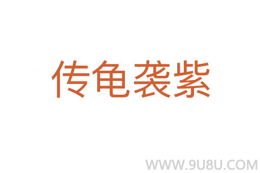 傳龜襲紫