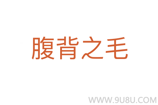 腹背之毛
