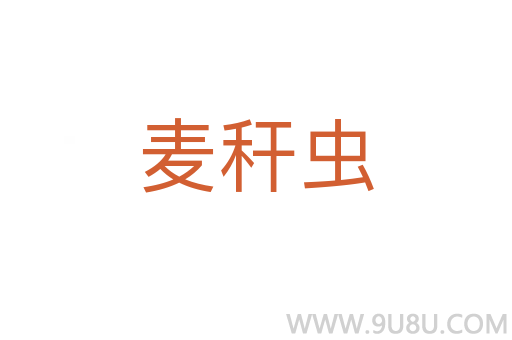 麥稈蟲