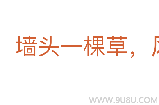 墻頭一棵草，風(fēng)吹兩邊倒
