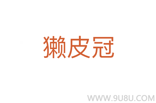 獺皮冠