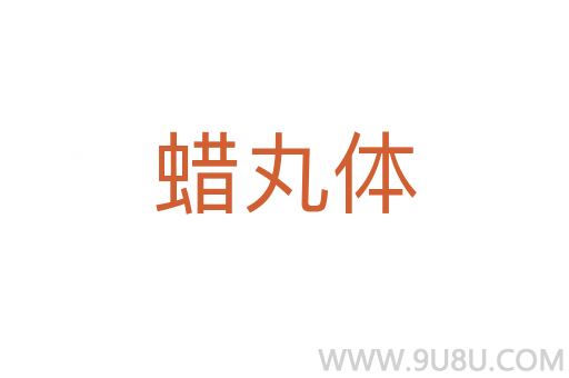 蠟丸體