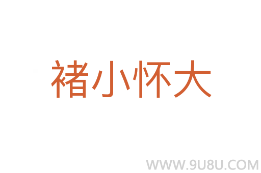 褚小懷大