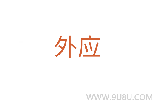 外應