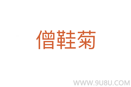 僧鞋菊