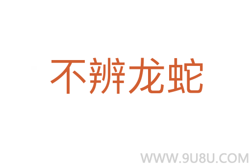 不辨龍蛇