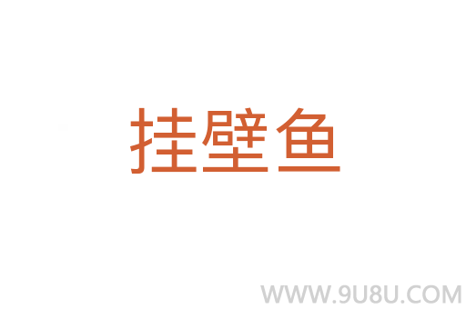 掛壁魚