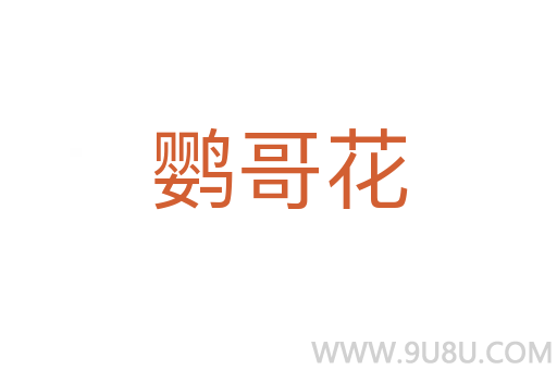 鸚哥花