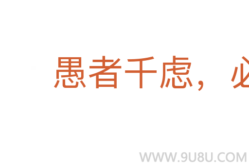 愚者千慮，必有一得