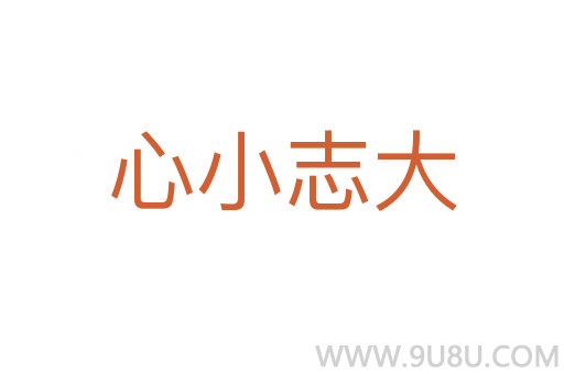 心小志大