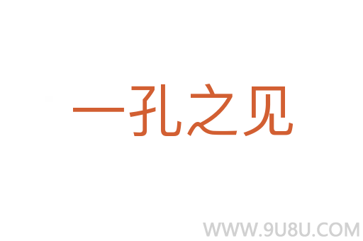 一孔之見