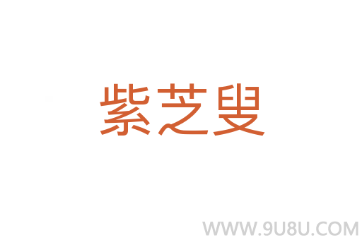 紫芝叟