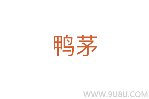 鴨茅