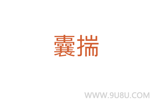 囊揣