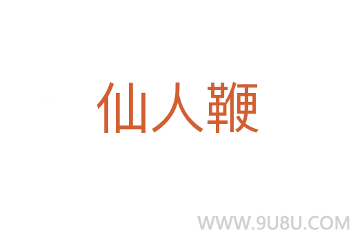 仙人鞭