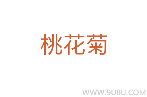 桃花菊