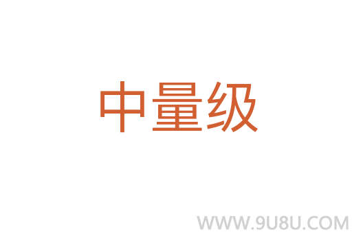 中量級(jí)