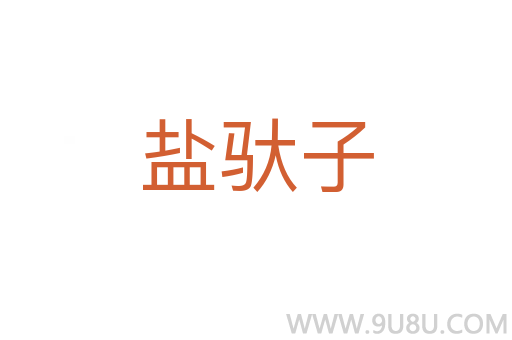 鹽馱子