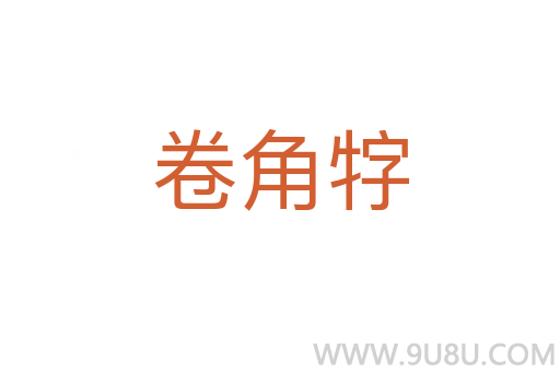 卷角牸