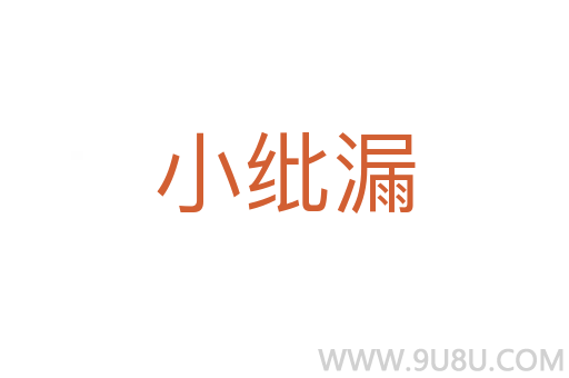 小紕漏