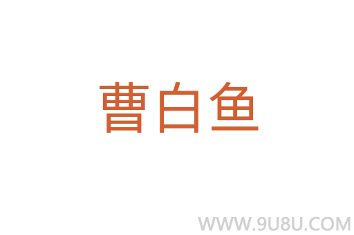 曹白魚