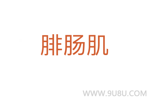 腓腸肌