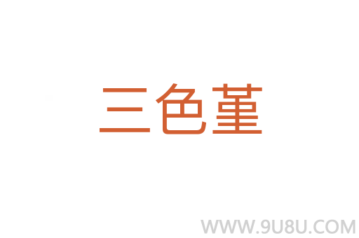 三色堇