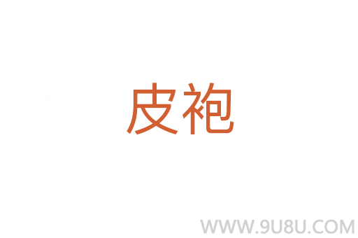 皮袍
