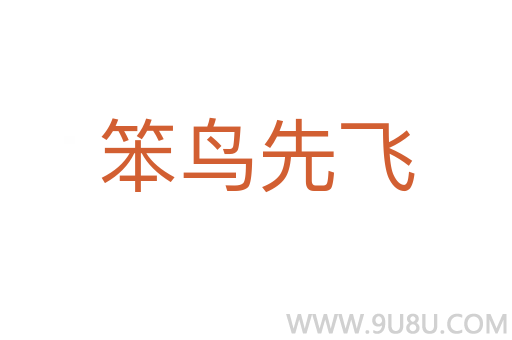 笨鳥(niǎo)先飛