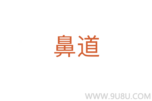 鼻道