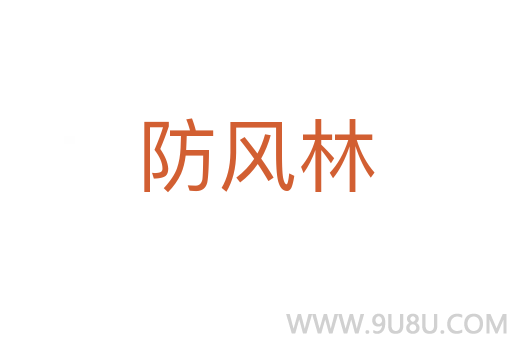 防風(fēng)林