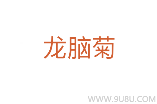 龍腦菊