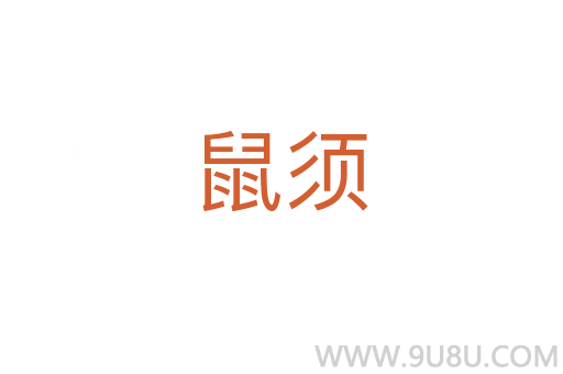 鼠須