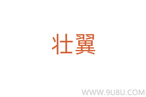 壯翼