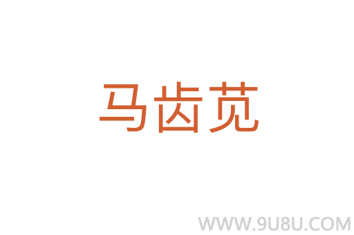馬齒莧