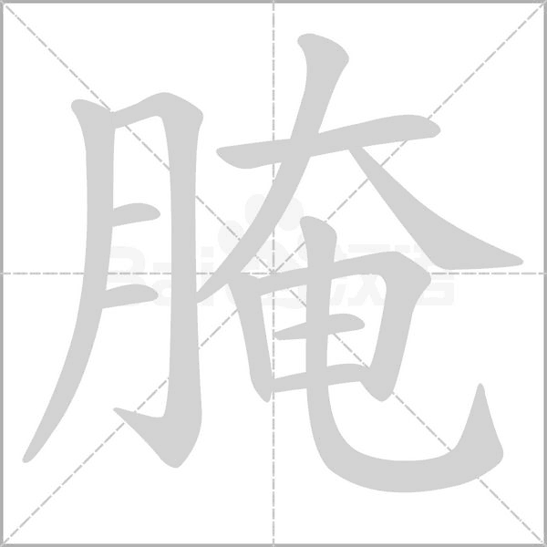 腌的筆順動(dòng)畫(huà)演示